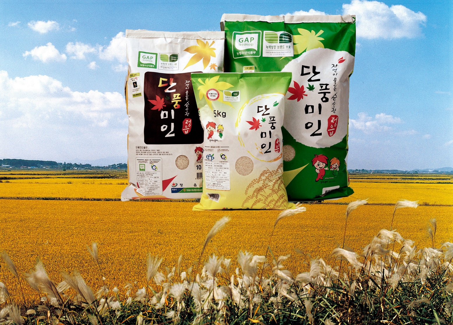 단풍미인쌀 브랜드 파워 강화 - 우리지역을 빛낸 쌀